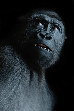 Things that feel really true but I have no concrete evidence for