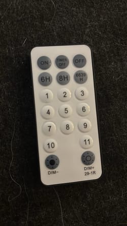 My new Christmas light remote is really weird