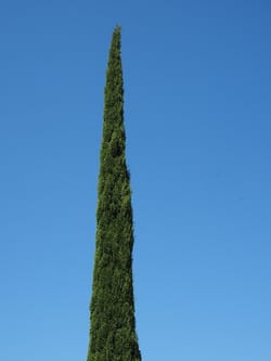 Are we being selfish by wanting a holiday morning just with the family?