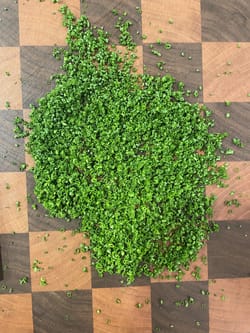 chive perfection journey day 58