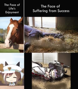 When a car is built for speed but not for long trips