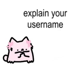 What's behind my username