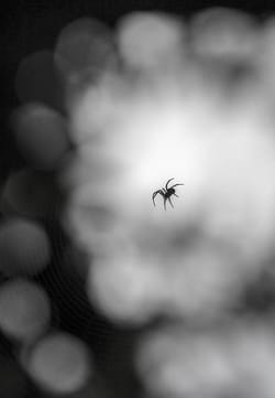 Black Friday was a disaster this year in America