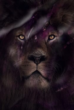 Miley Cyrus' biological mom comes forward claiming private adoption was a lie