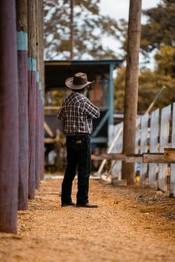 Trump's $12 billion farmer bailout is finally here