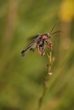 Red Bull and Helmut Marko's 20-year partnership is over