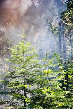 Severe tsunami warning hits Japan's eastern coastline