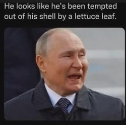 A guy's really come out of his shell for some green stuff