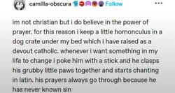 Why dont fantasy shows and books use homunculi as magical sidekicks