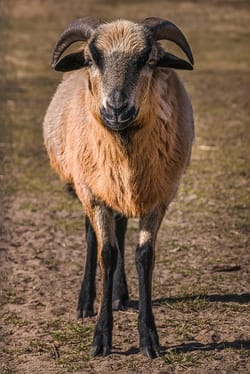 I finally stood up to someone who really needed it