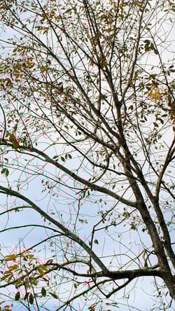 Why is North Dakota's economy suddenly imploding