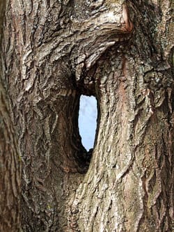 Warner Bros Discovery to carefully review Paramount Skydance's $30 share deal