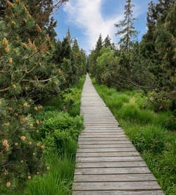 The guy is way out of her league in their relationship