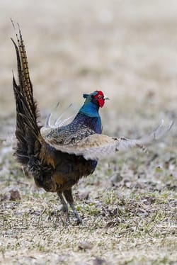 Ukraine's president says his country won't back down on territorial claims