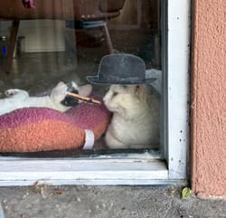 When you're too far away from someone's relationship status