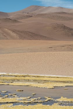 Trump trashes 60 minutes after interview with far-right congresswoman