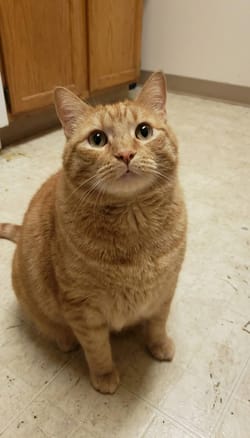 You won't believe who Gerald really is