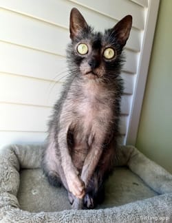 I'm totally craving something to snack on right now