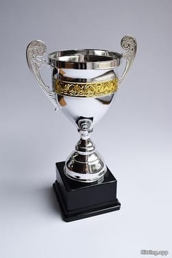 Divinity Original Sin 3 Wins Game Award