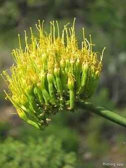 Turning point for Texas schools