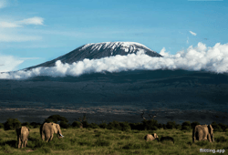 Mountains like Kilimanjaro exist elsewhere in the world
