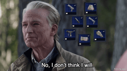 Am I a treasure hunter or a pirate?