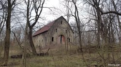 I stumbled upon an abandoned barn hidden in the woods of Indiana