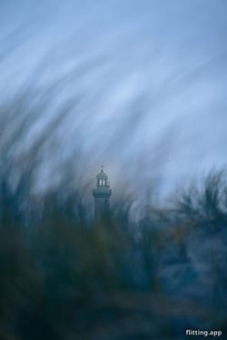 What's growing off the coast near Bavaro?