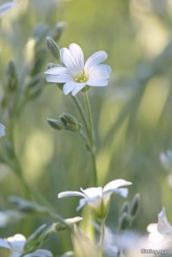 What happens to the young people when the boomers pass on their massive wealth?