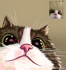 looking for inspiration to draw cute kittens