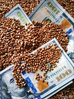 PepsiCo slashes prices and trims product lines in bid for stability