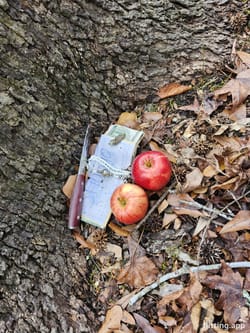 Found a bunch of cash at the park