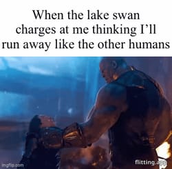 Wedding photographers can finally have a break from crazy couples