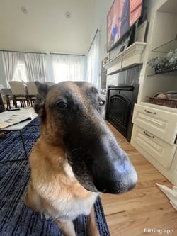 He's clearly on something