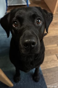 Someone is eyeing my food