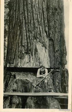 A man got creative with a giant log