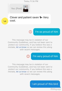 TikTok won't let me change my raven's gender