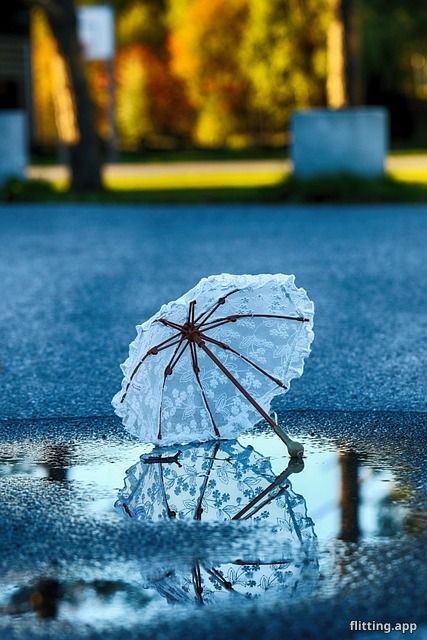 "My Crazy Adventure to Get Back a Stolen Umbrella I'll Never Forget"