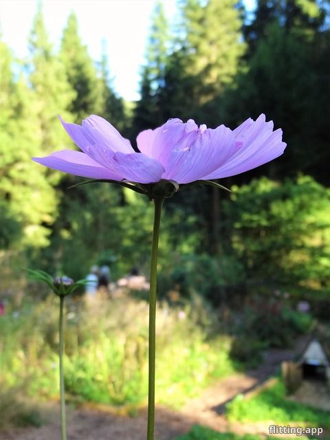 "I'm a young engineer, but I have so much respect for my senior colleagues..."