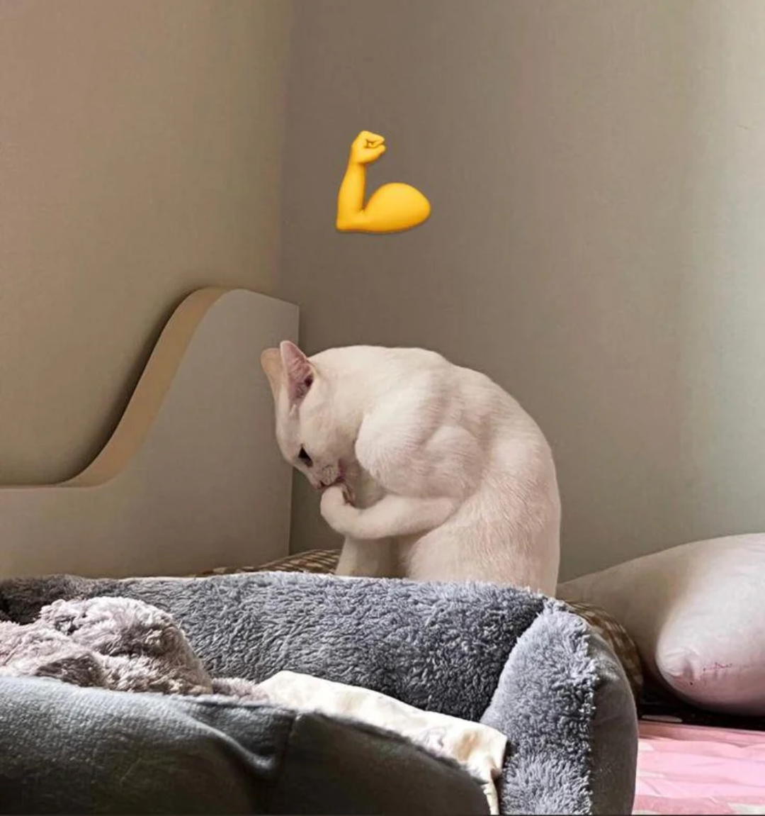 The real power that can take down a government