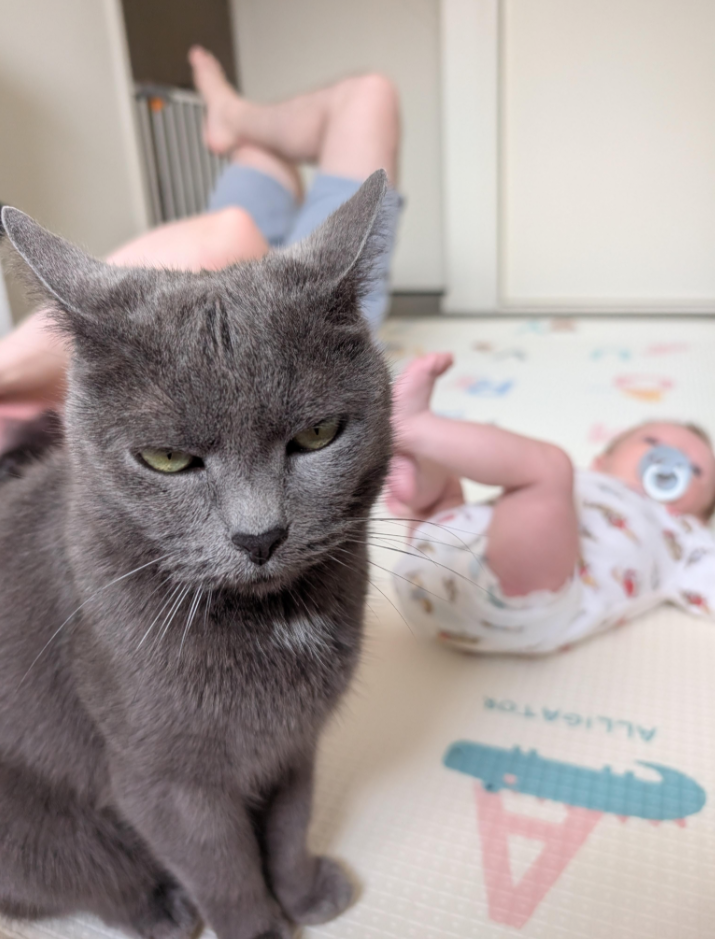 Our family just got a surprise member we're not thrilled about