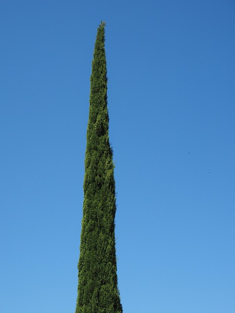 Are we being selfish by wanting a holiday morning just with the family?