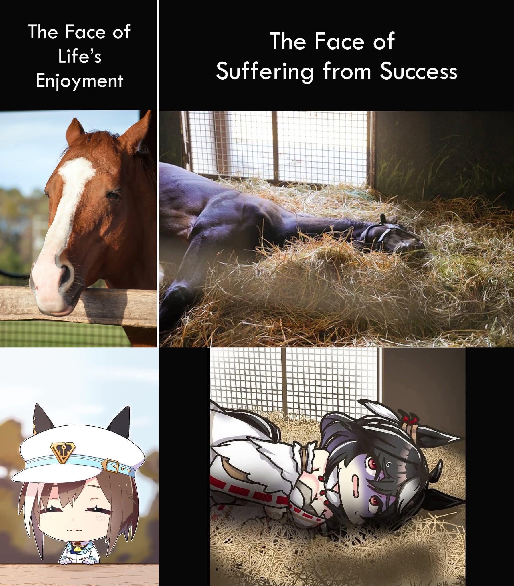 When a car is built for speed but not for long trips