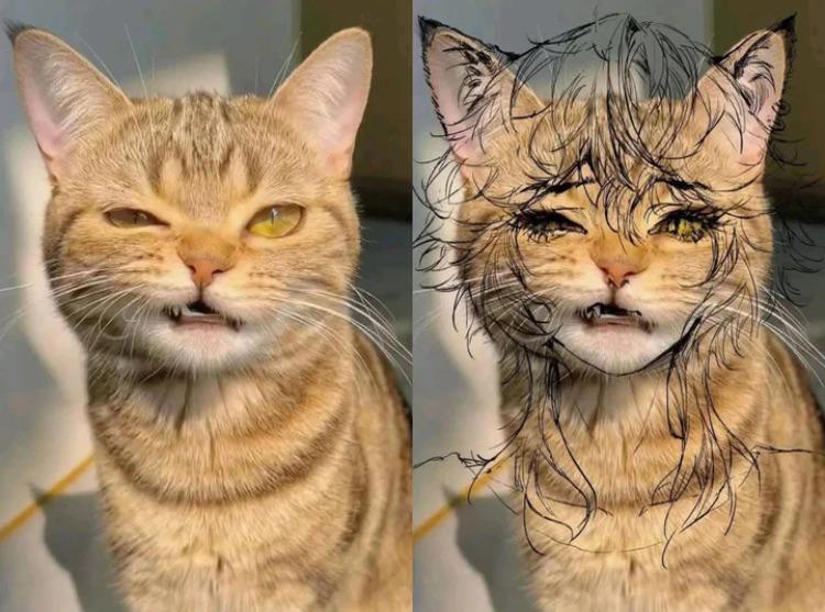 Life in Los Angeles is sketchy