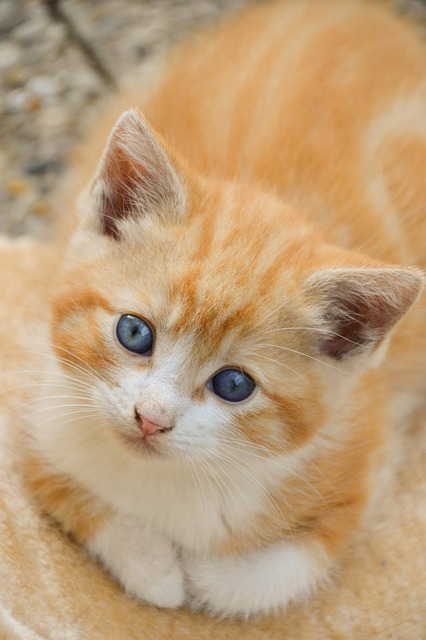 Something unexpected I found at my coworkers desk when they left.