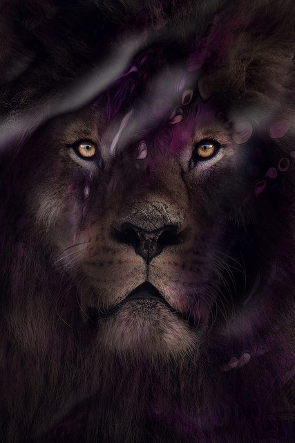 Miley Cyrus' biological mom comes forward claiming private adoption was a lie