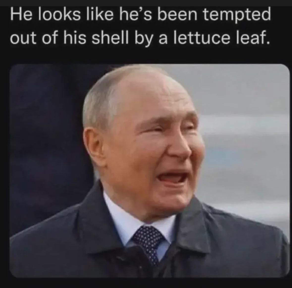 A guy's really come out of his shell for some green stuff