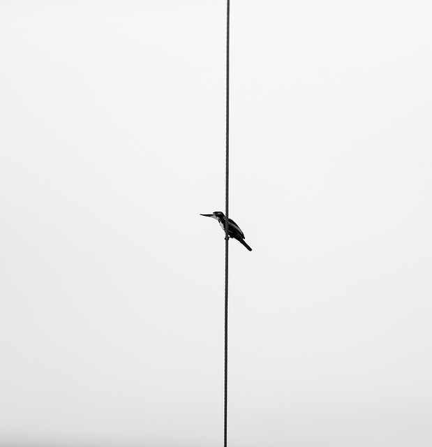 Was there a better waiver wire pickup in NFL history than Michael Wilson?