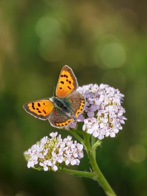 We're really not discussing a major topic lately