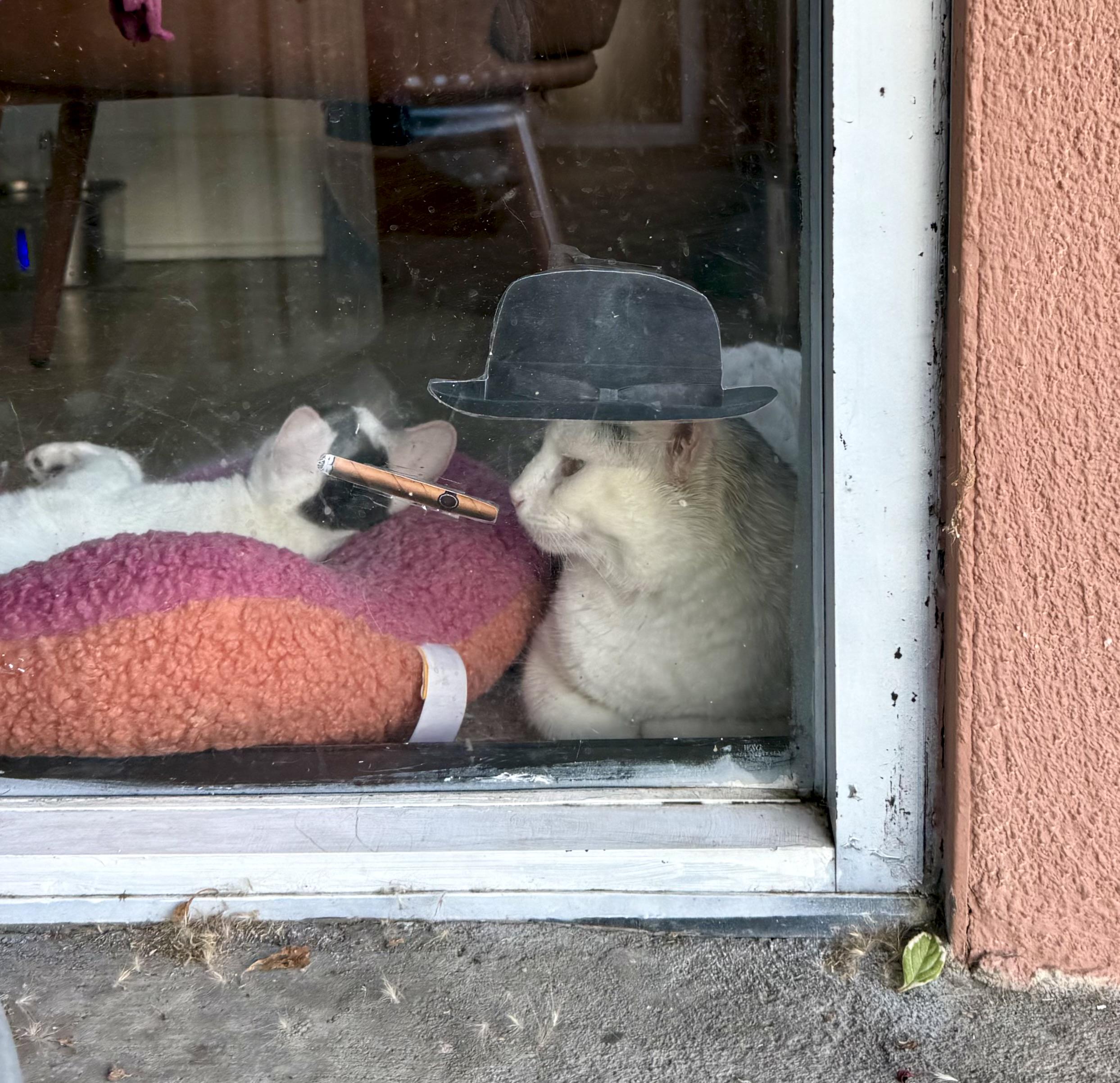 When you're too far away from someone's relationship status